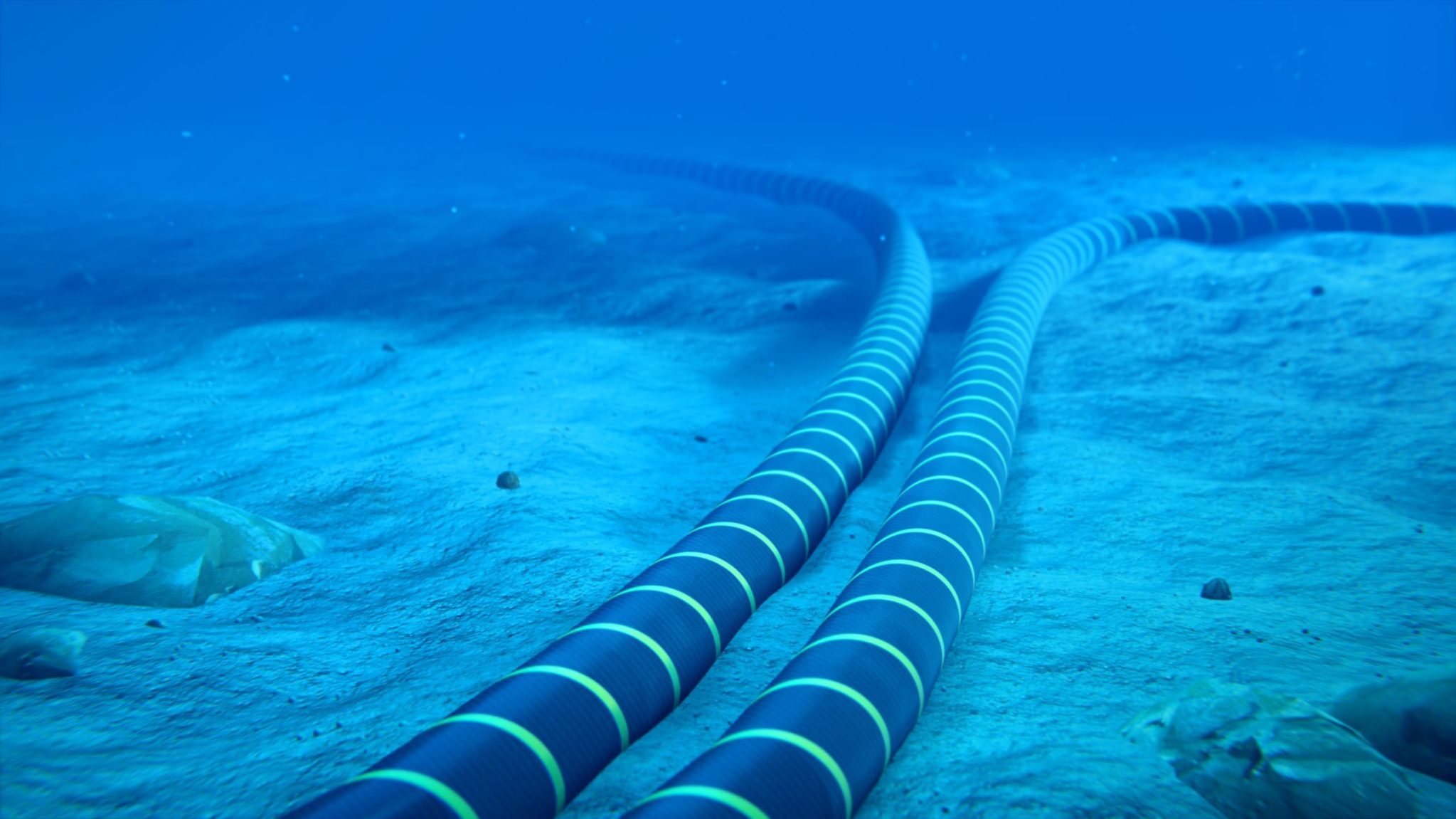 Submarine cables at the bottom of the ocean