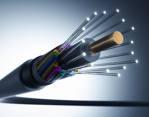 Detailed intersection of a fiber optic cable revealing its components