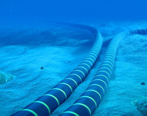 Submarine cables at the bottom of the ocean